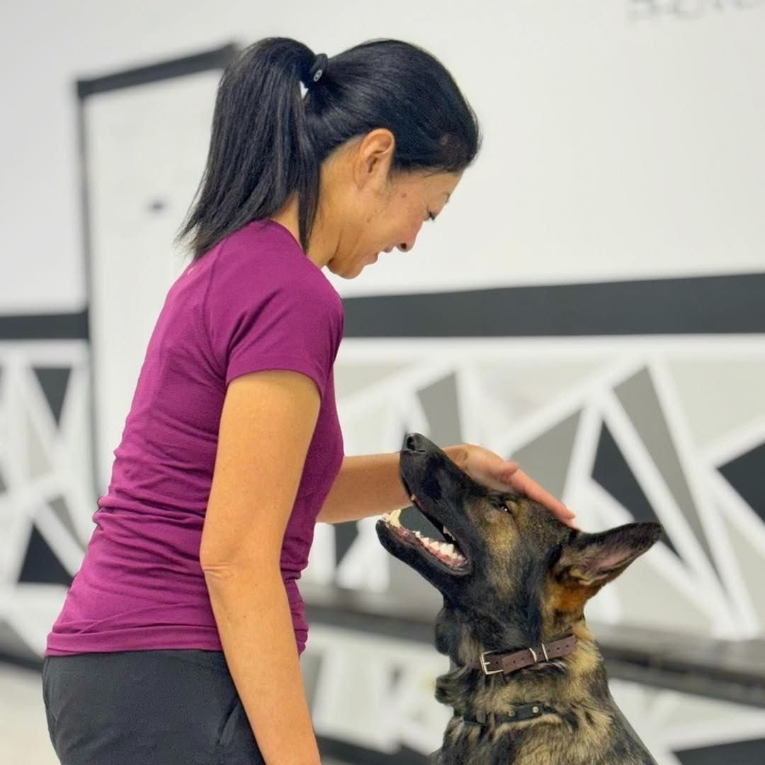 My Dog Trainer.com