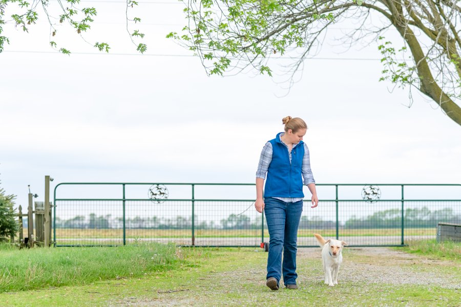 Engineering Change: Canine + Equine Training