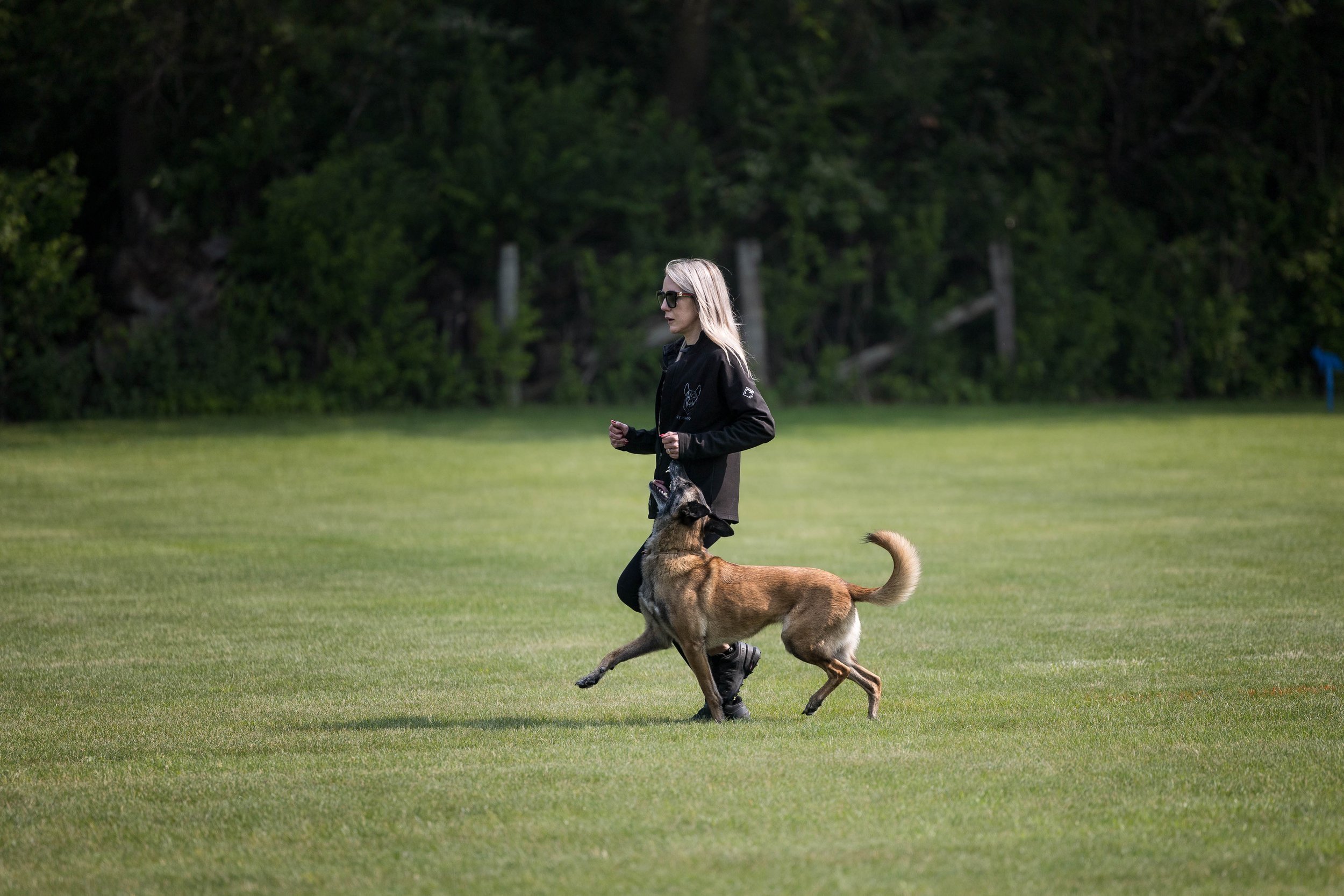 Eternal K9 Dog Training