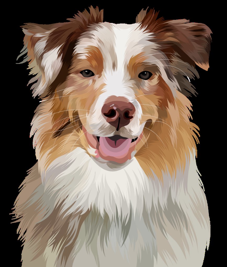 The Well Mannered Dog