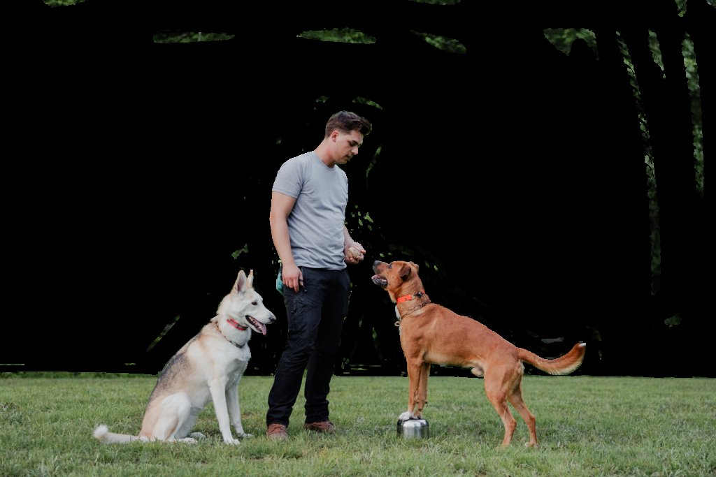 Hunter’s Dog Training