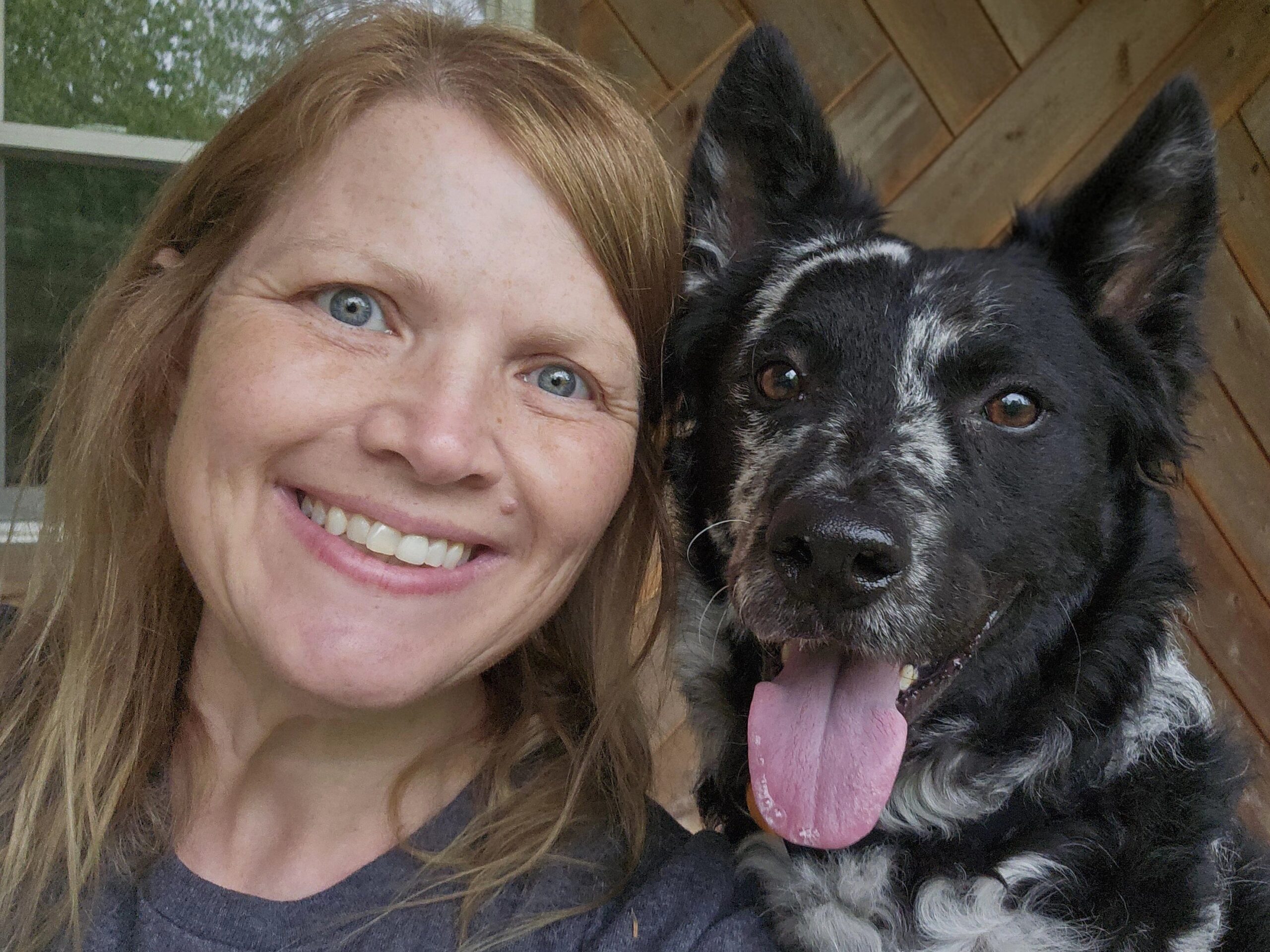 UpSwing Canine Behavioral Services – Fetch & Fable