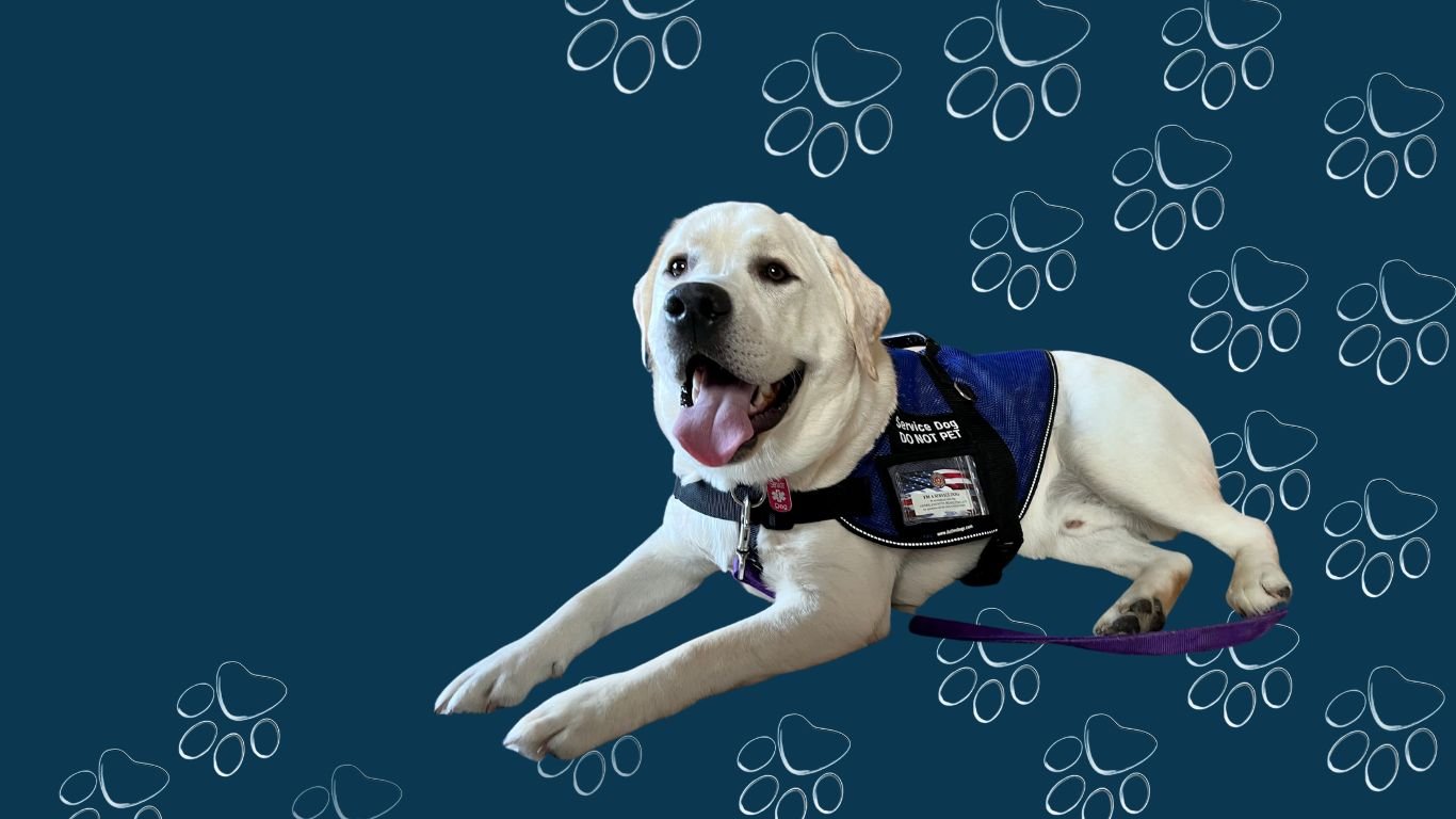 Always-At Your Service Dog Training, LLC