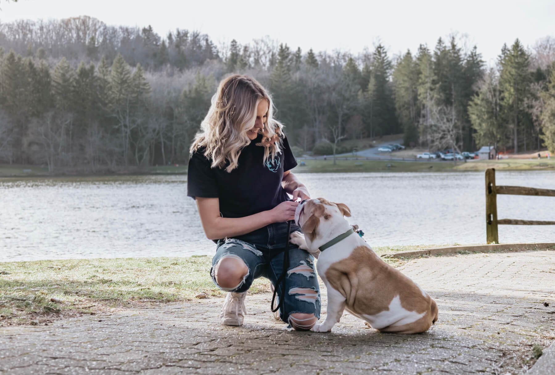 Winsome Wags Dog Training LLC