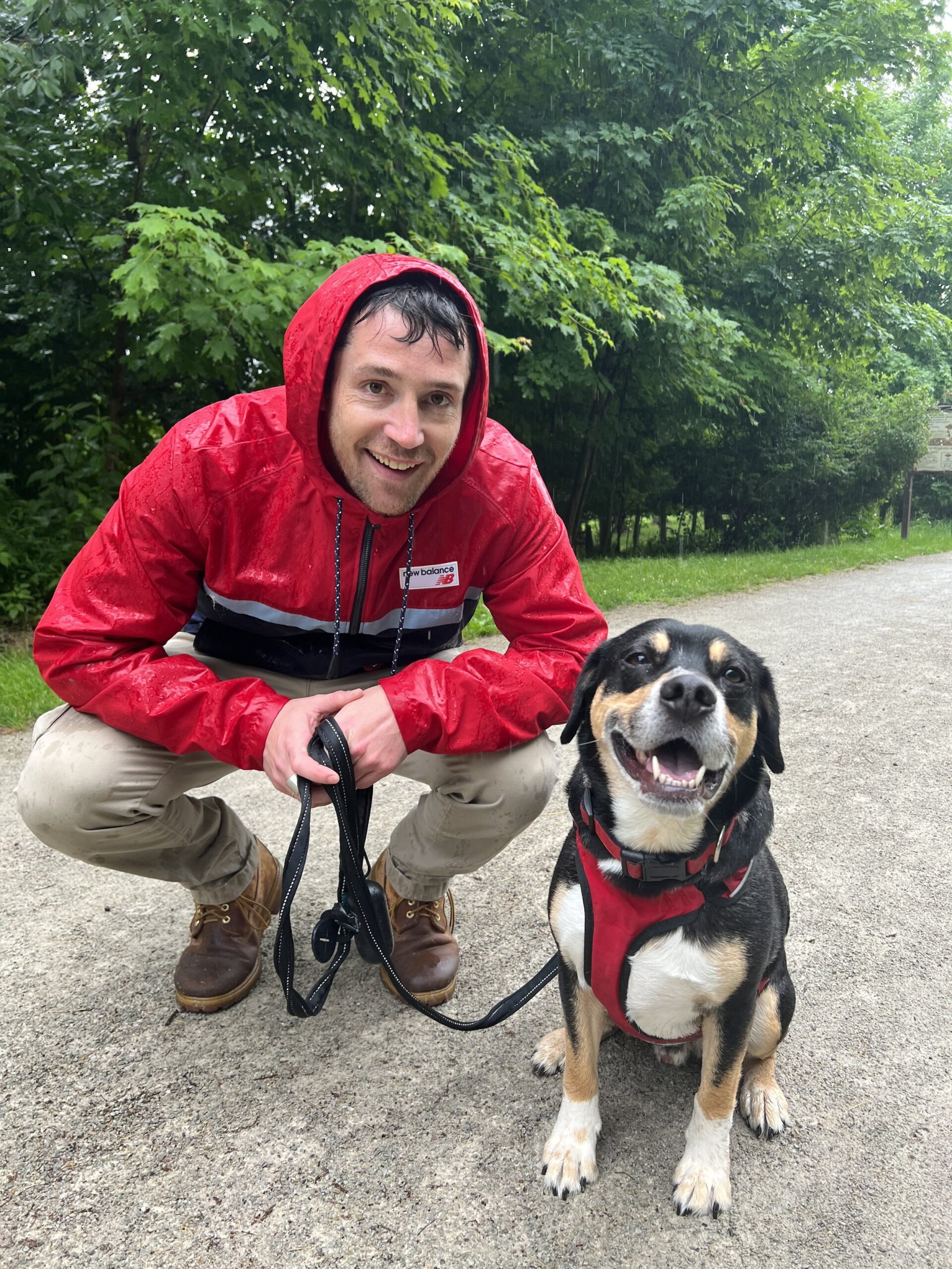 4 Paw 5 Star Dog Training
