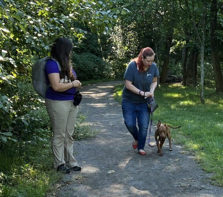 Happy Feet Dog Training