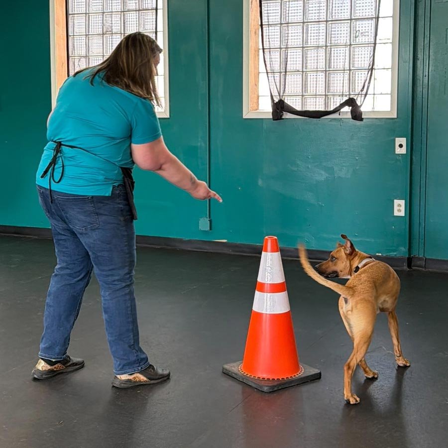 Beaver County Humane Society Dog Training Center