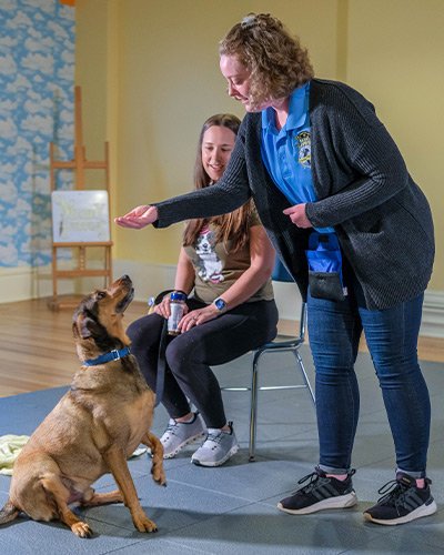 Merry Puppins School for Dogs