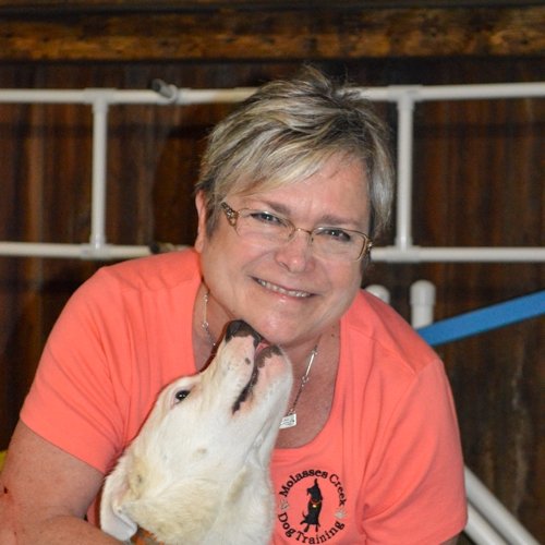 Molasses Creek Dog Training, LLC