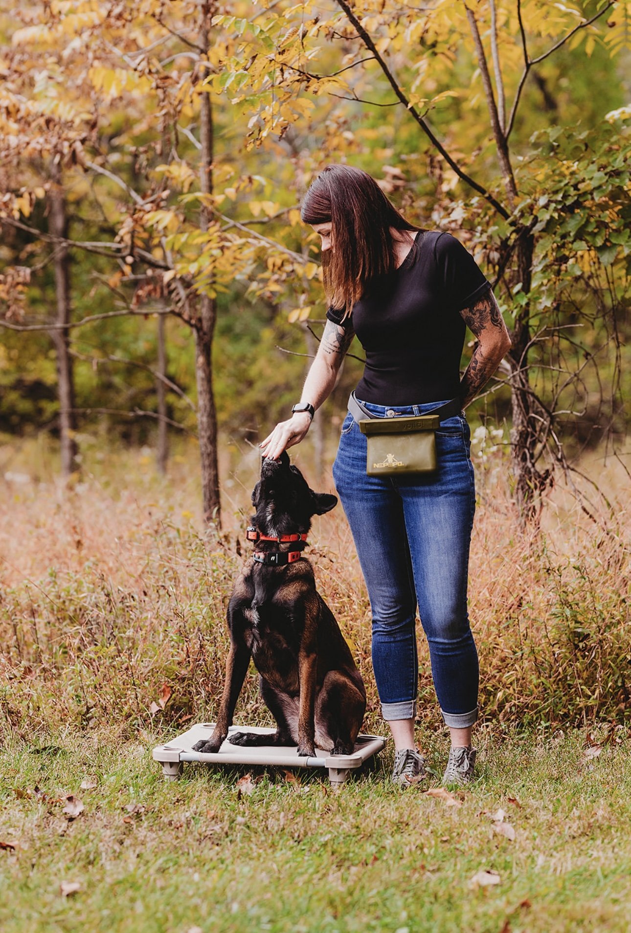 Titan K9 Dog Training