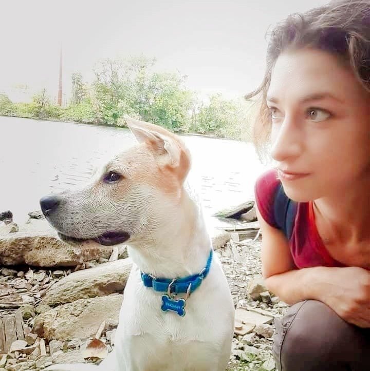 Canine Behavior Solutions