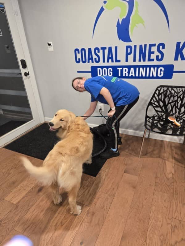 Coastal Pines K9