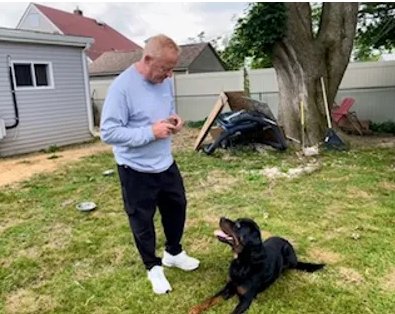 DBF dog training