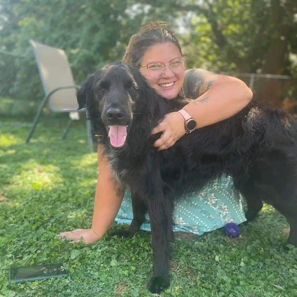 Bad B Dog Training