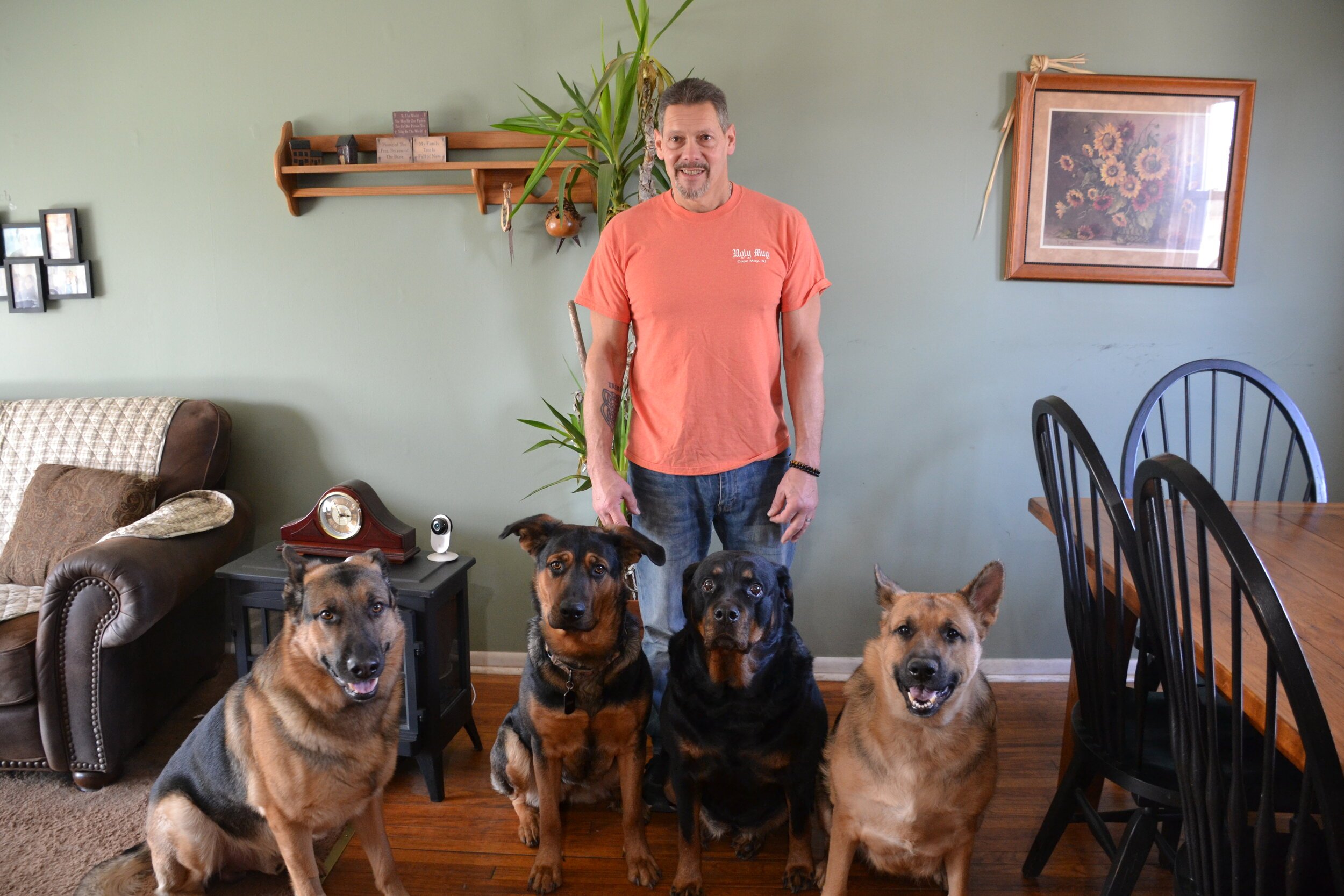 Celtic Shield Dog Training