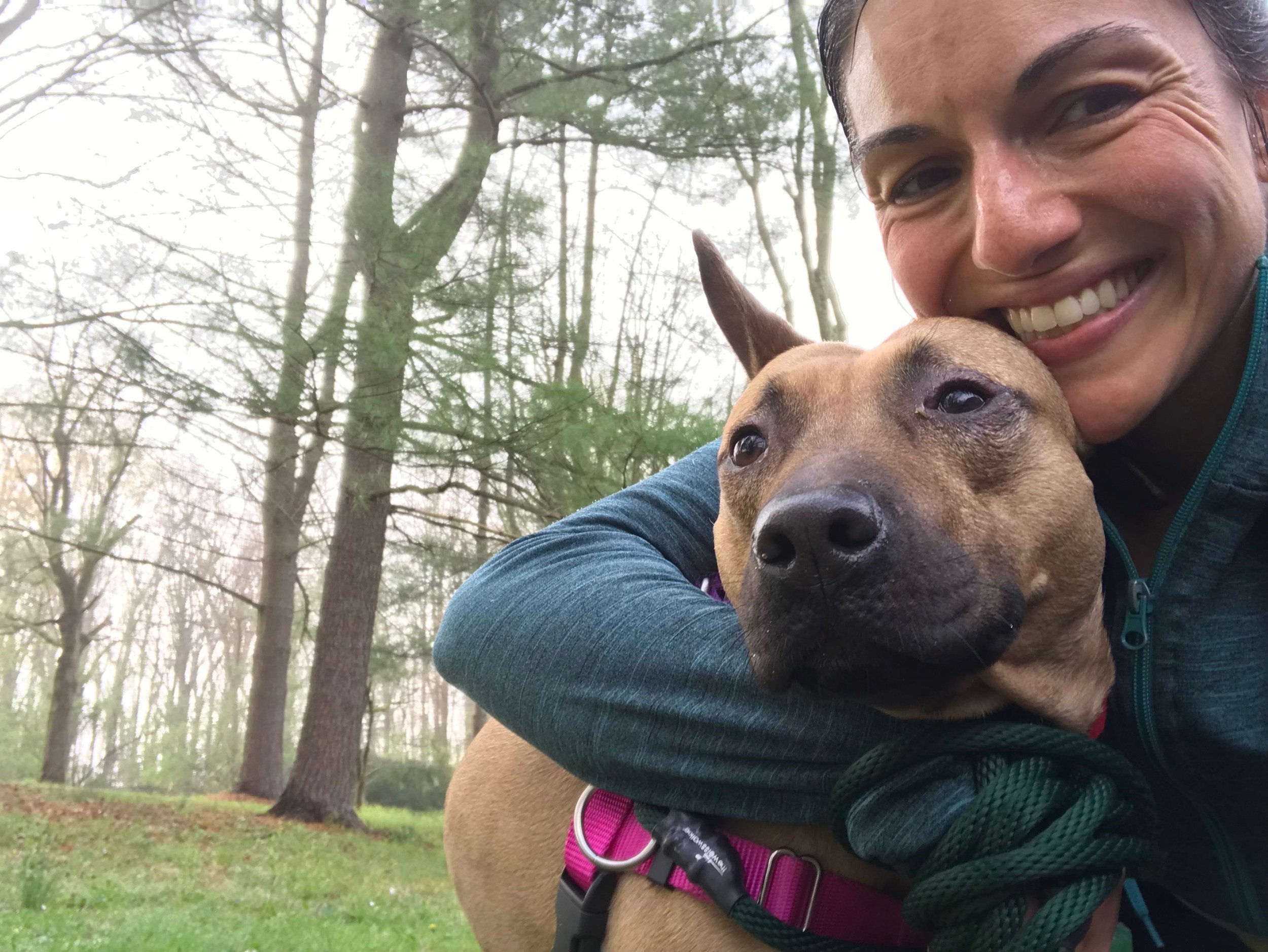 Paws Forward Dog Training LLC