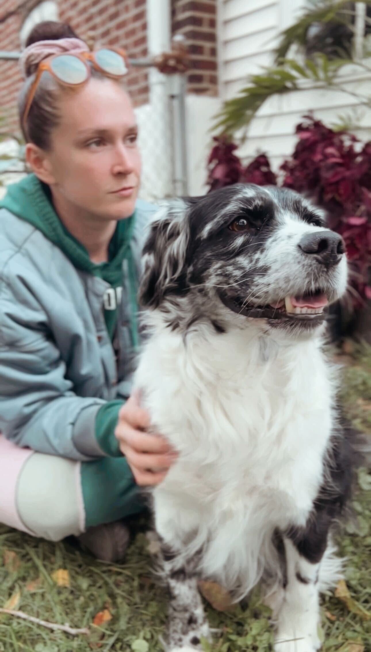 Freed by Training: Certified Dog Training and Behavior