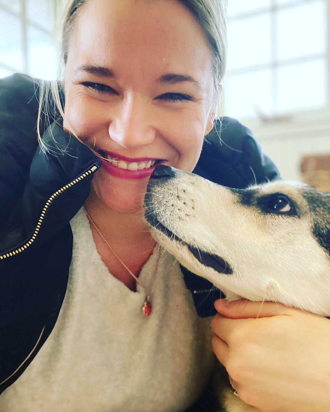In Us They Trust, LLC — dog trainer in Cincinnati, OH
