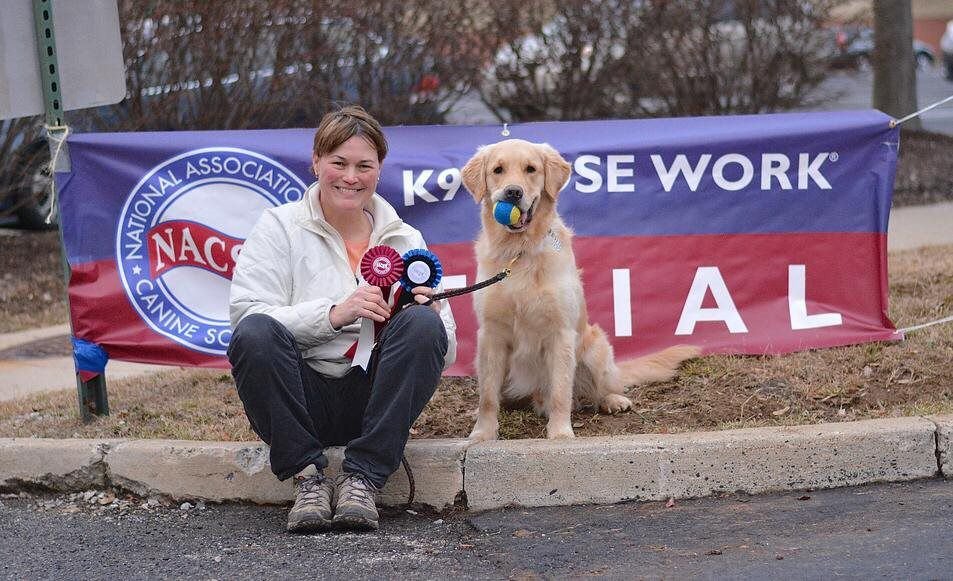 What a Good Dog LLC