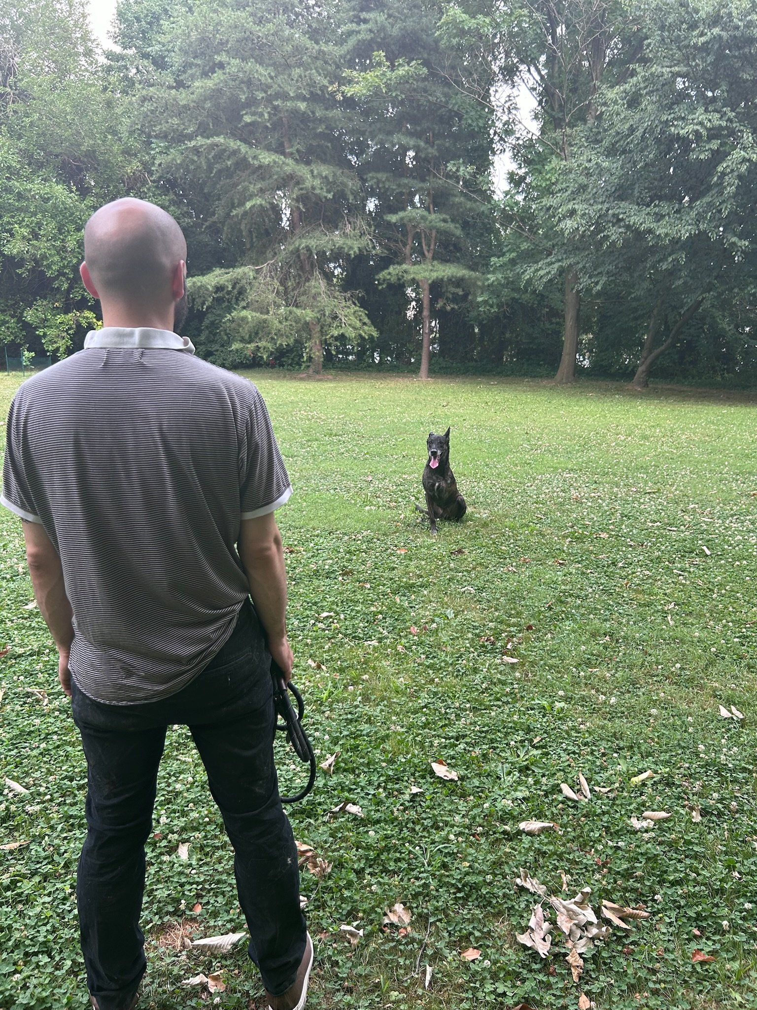 Man & His Mutt