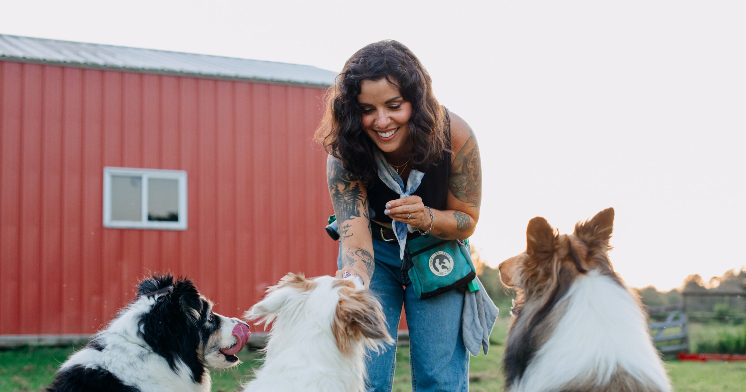 Down To Earth Dog Lady