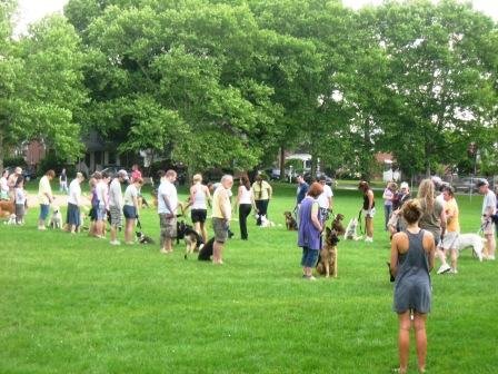 Lehigh Valley Dog Training