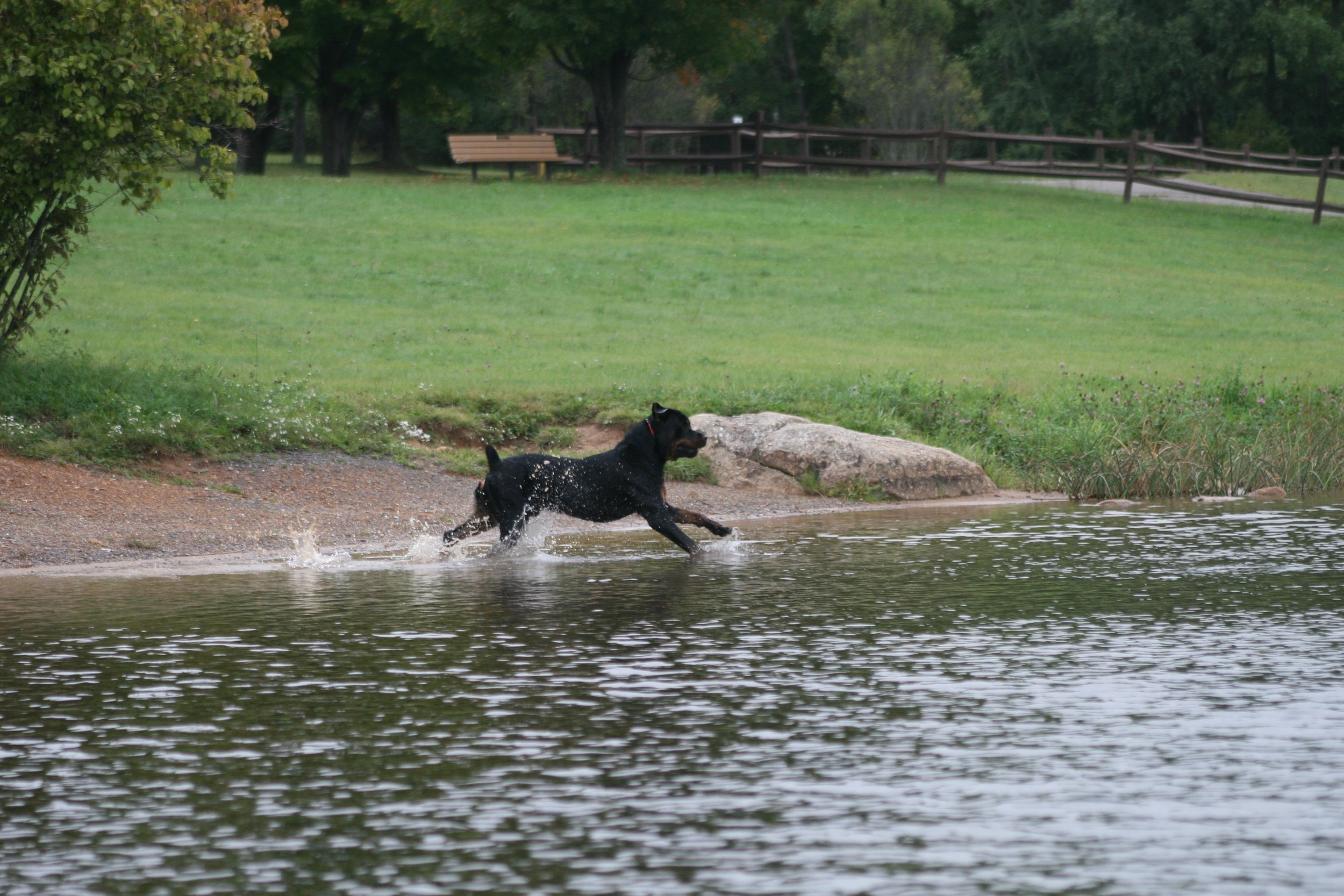 K9 Leadership Academy