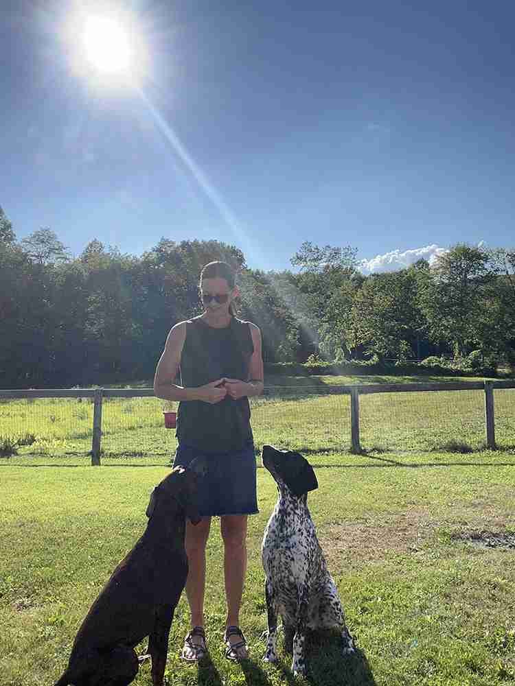 Points of Wisdom Dog Training, LLC