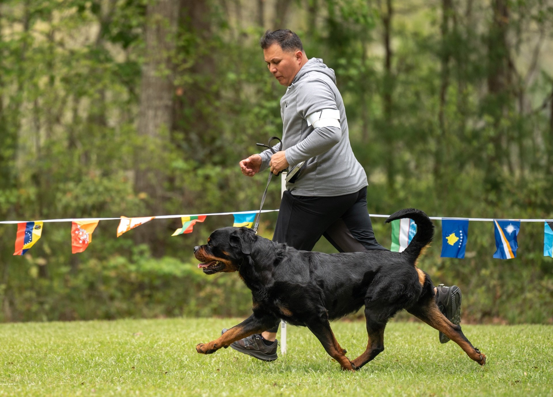 Village Professional Showing Training Handling LLC