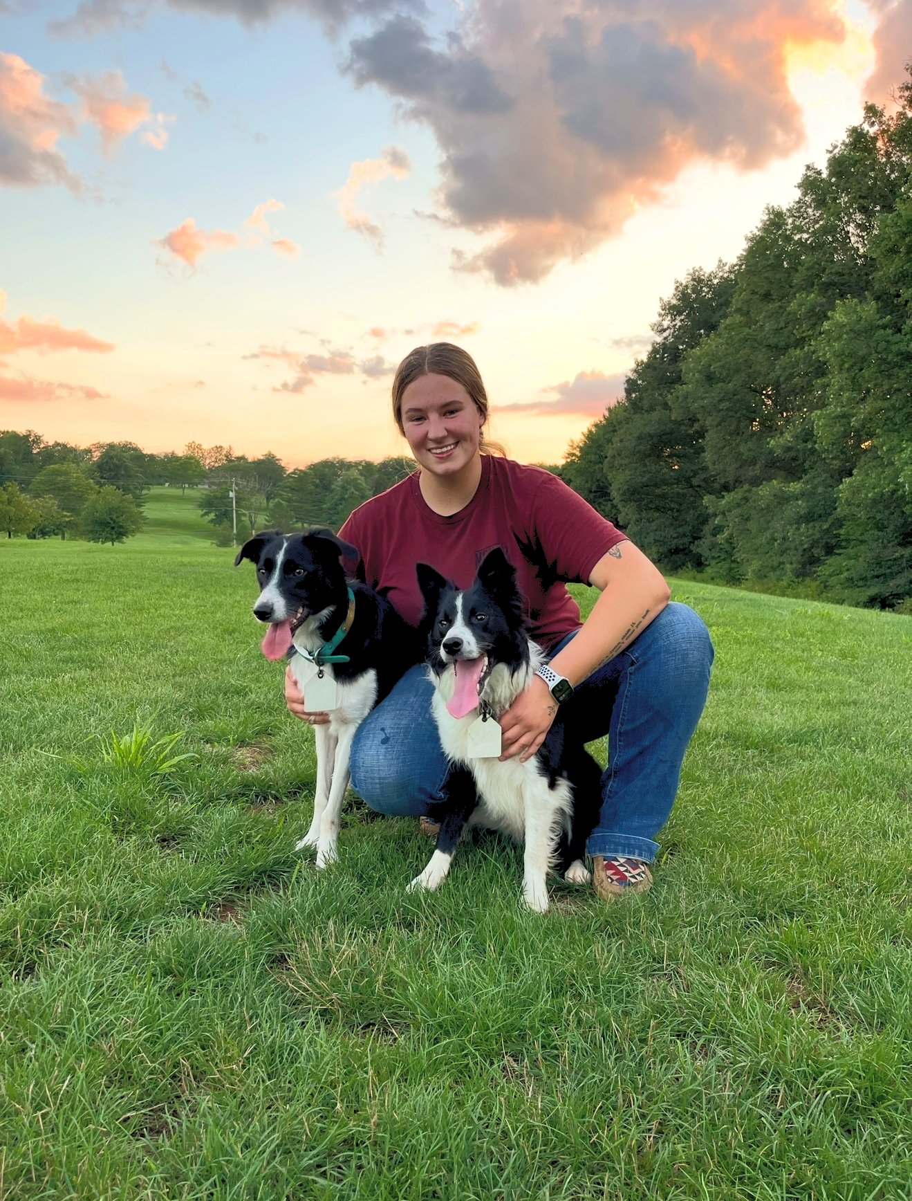 FabFido Dog Training