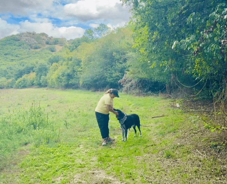 Canine Compass LLC — dog trainer in Harrisburg, PA