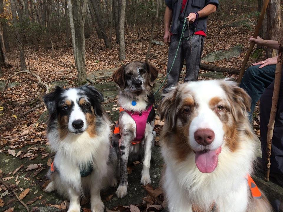 Your Best Behavior LLC, Duncannon, PA