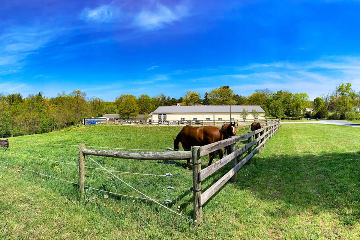 Stonehill Kennel & Farm