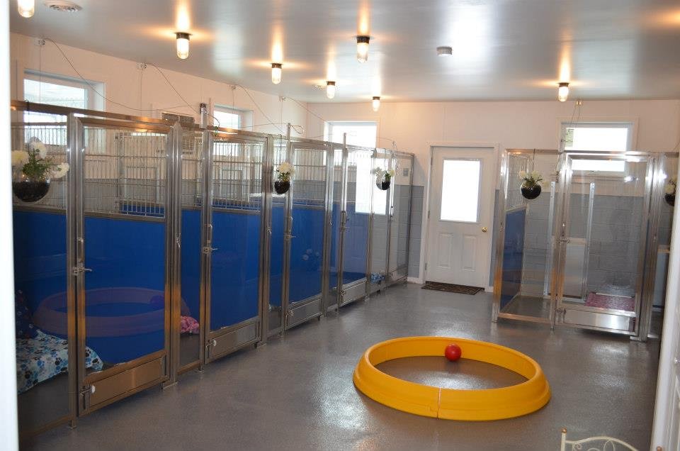 D and D Kennel