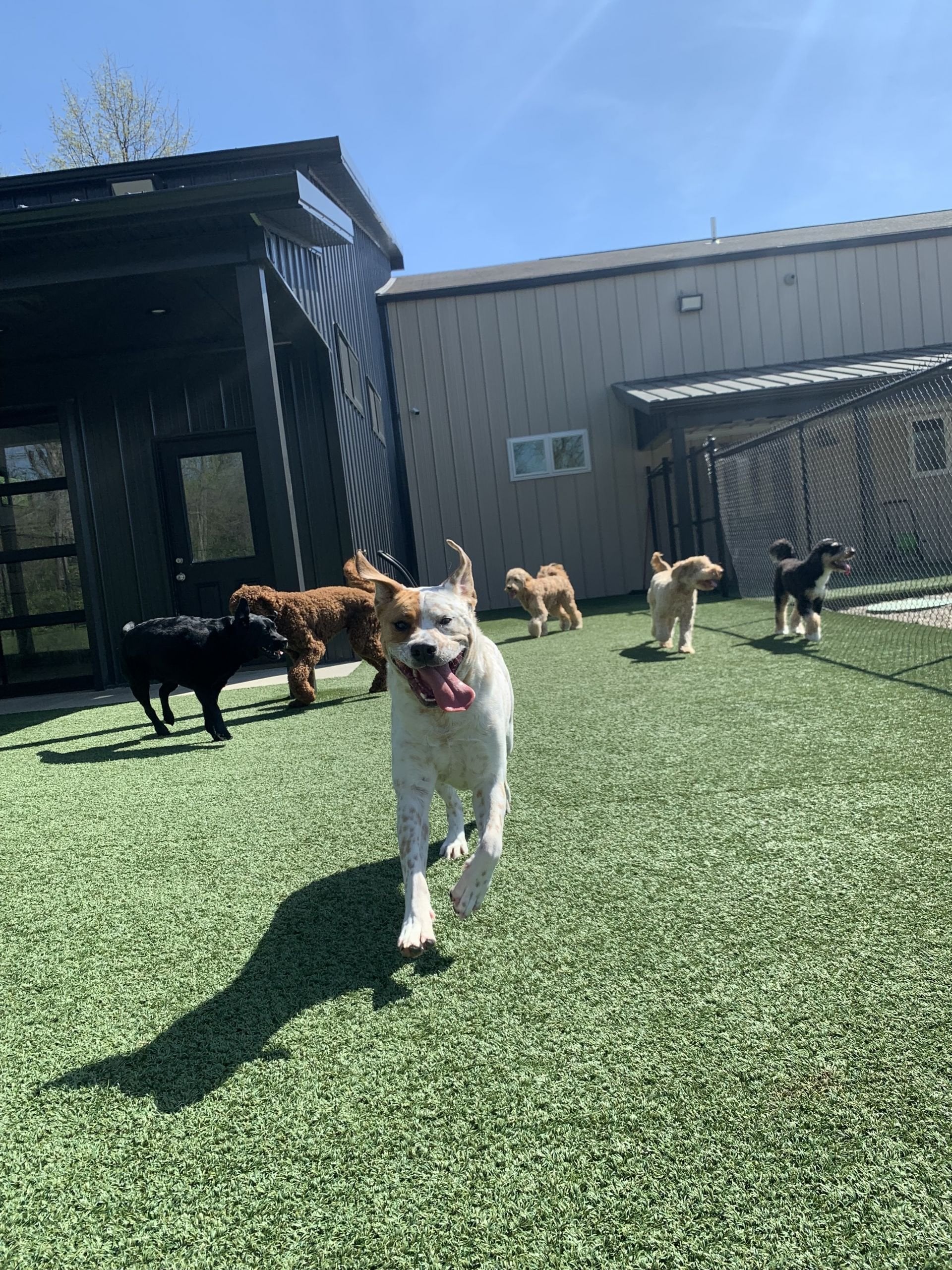 Lead the Way K9 Training & Boarding , LLC.