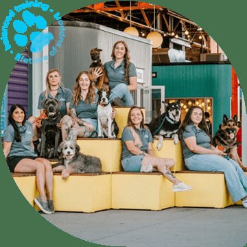 The Dog Wizard Westlake — dog trainer in Cleveland, OH