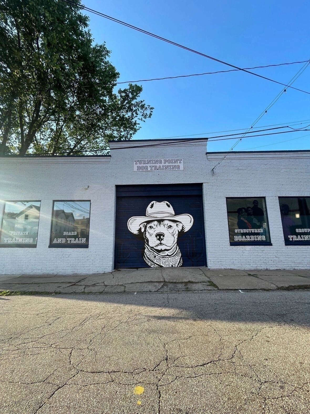 Turning Point Dog Training — dog trainer in Cleveland, OH