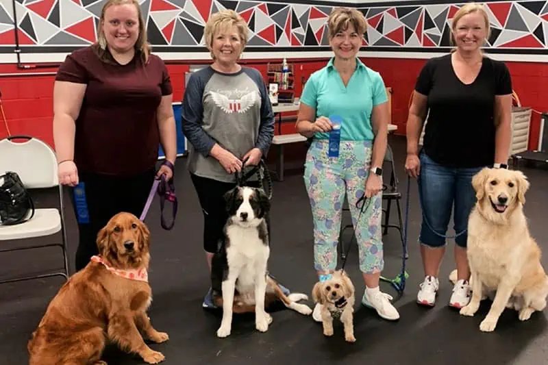 Sit Means Sit Dog Training Cleveland & Akron