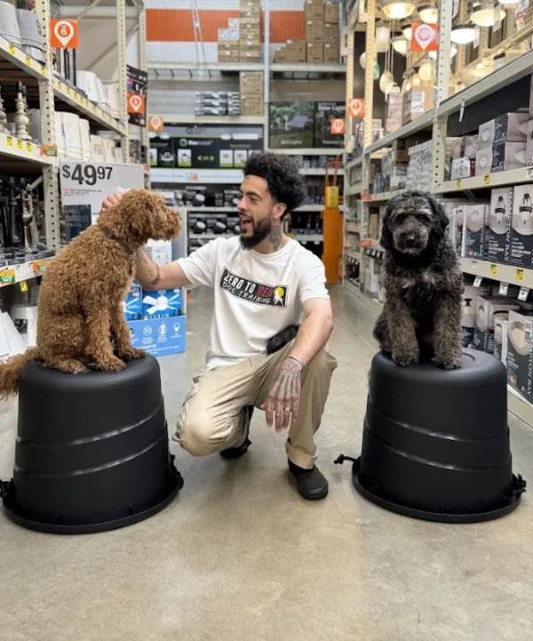 Zero To Hero Dog Training