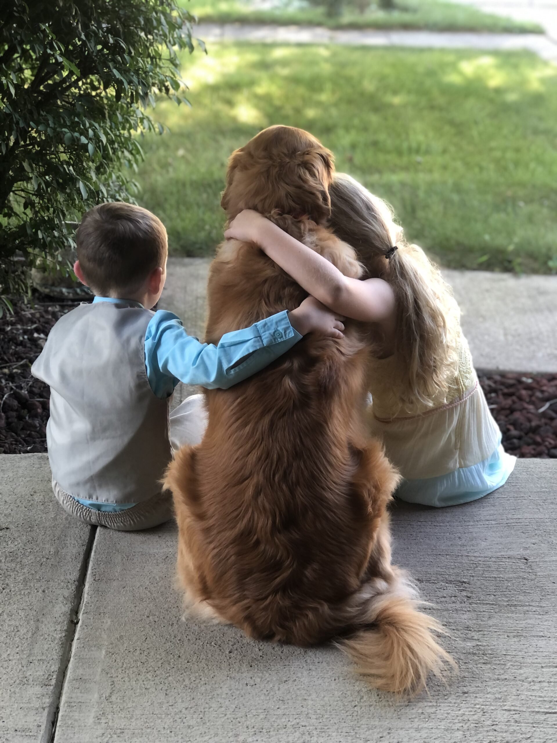 Blind Faith Family Canine Academy