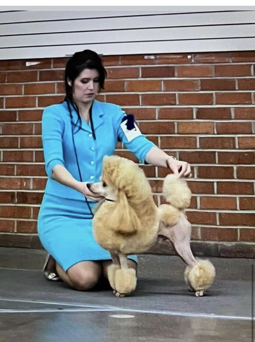 Ohio Valley Dog Obedience Training