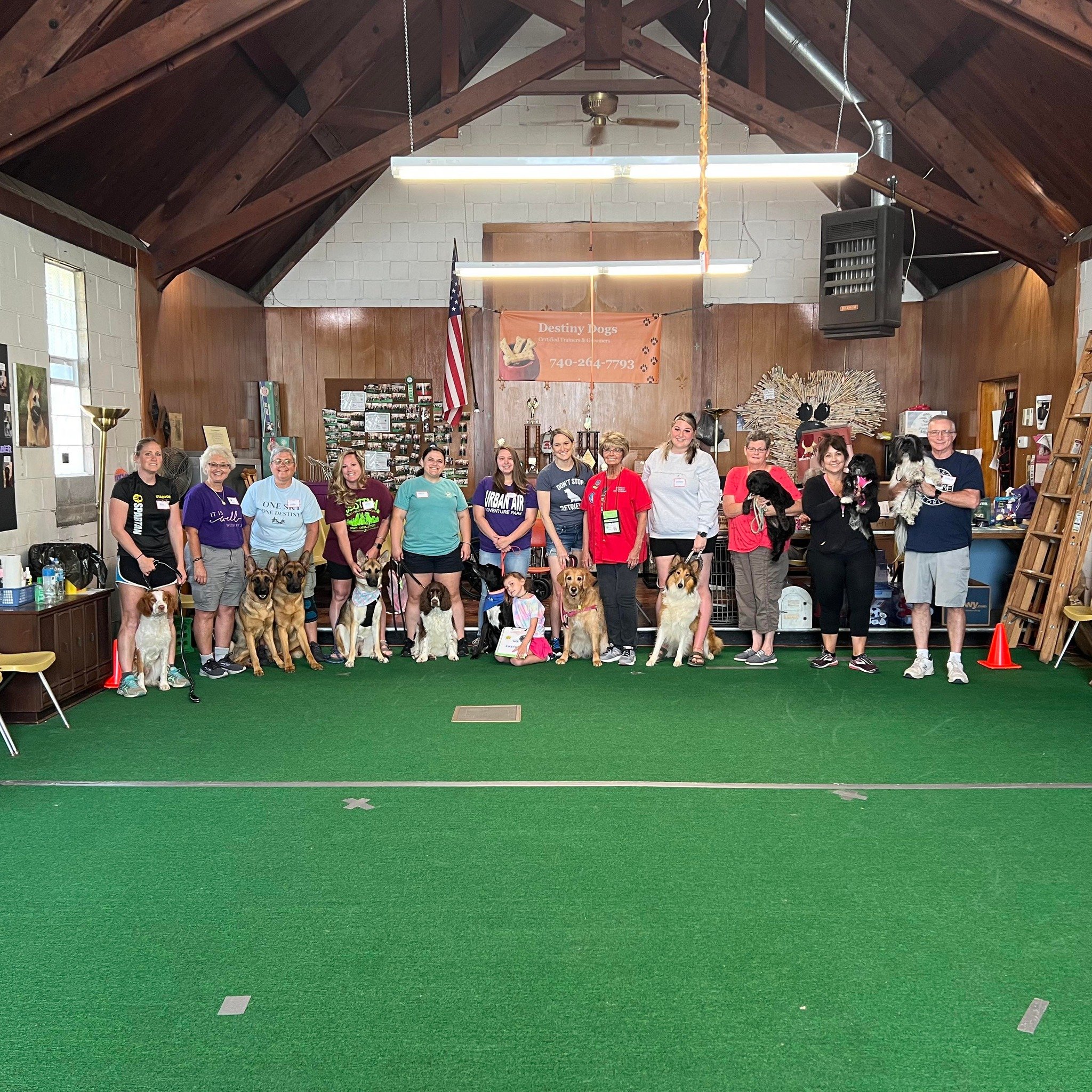 Destiny Dog School
