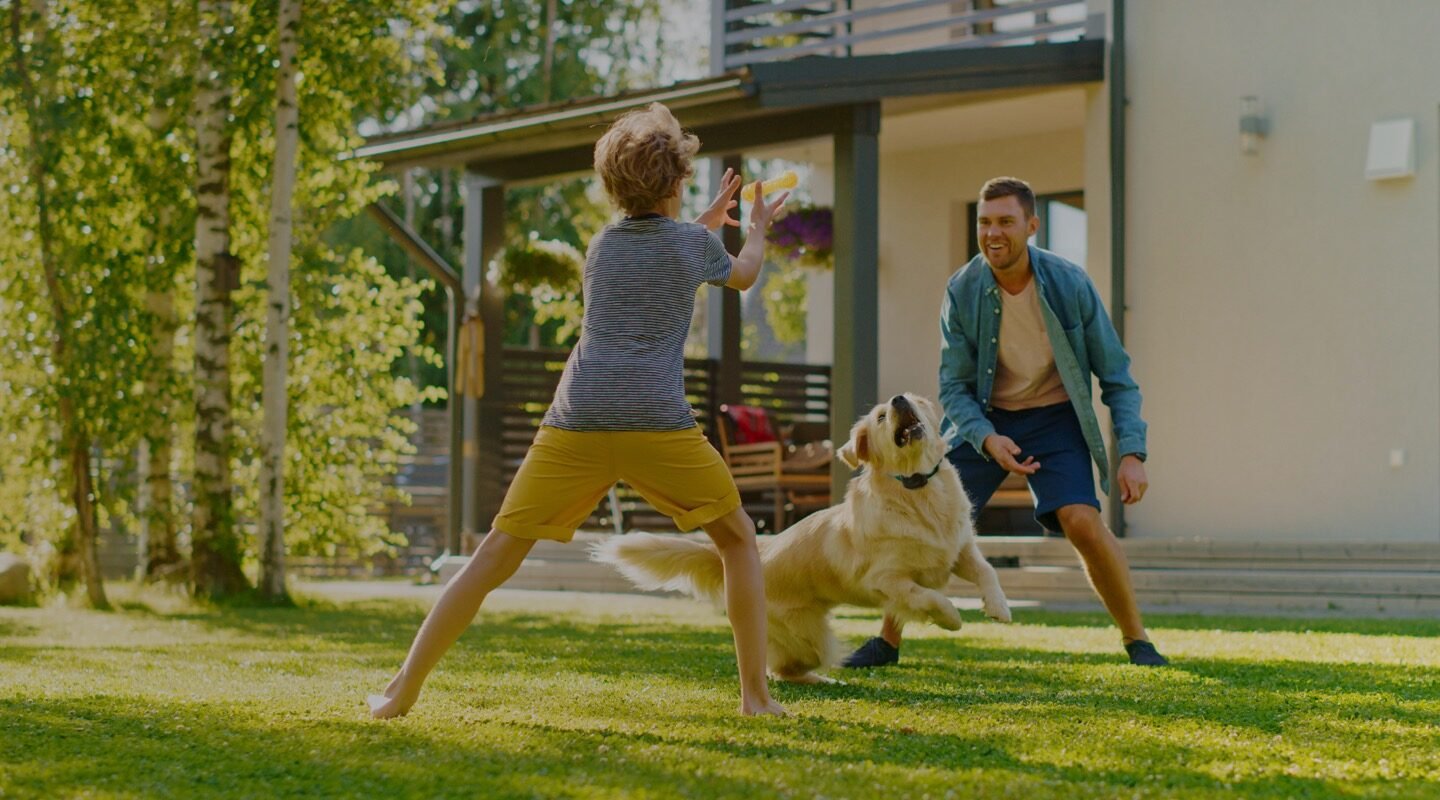 DogWatch of Greater Cincinnati — dog trainer in Cincinnati, OH