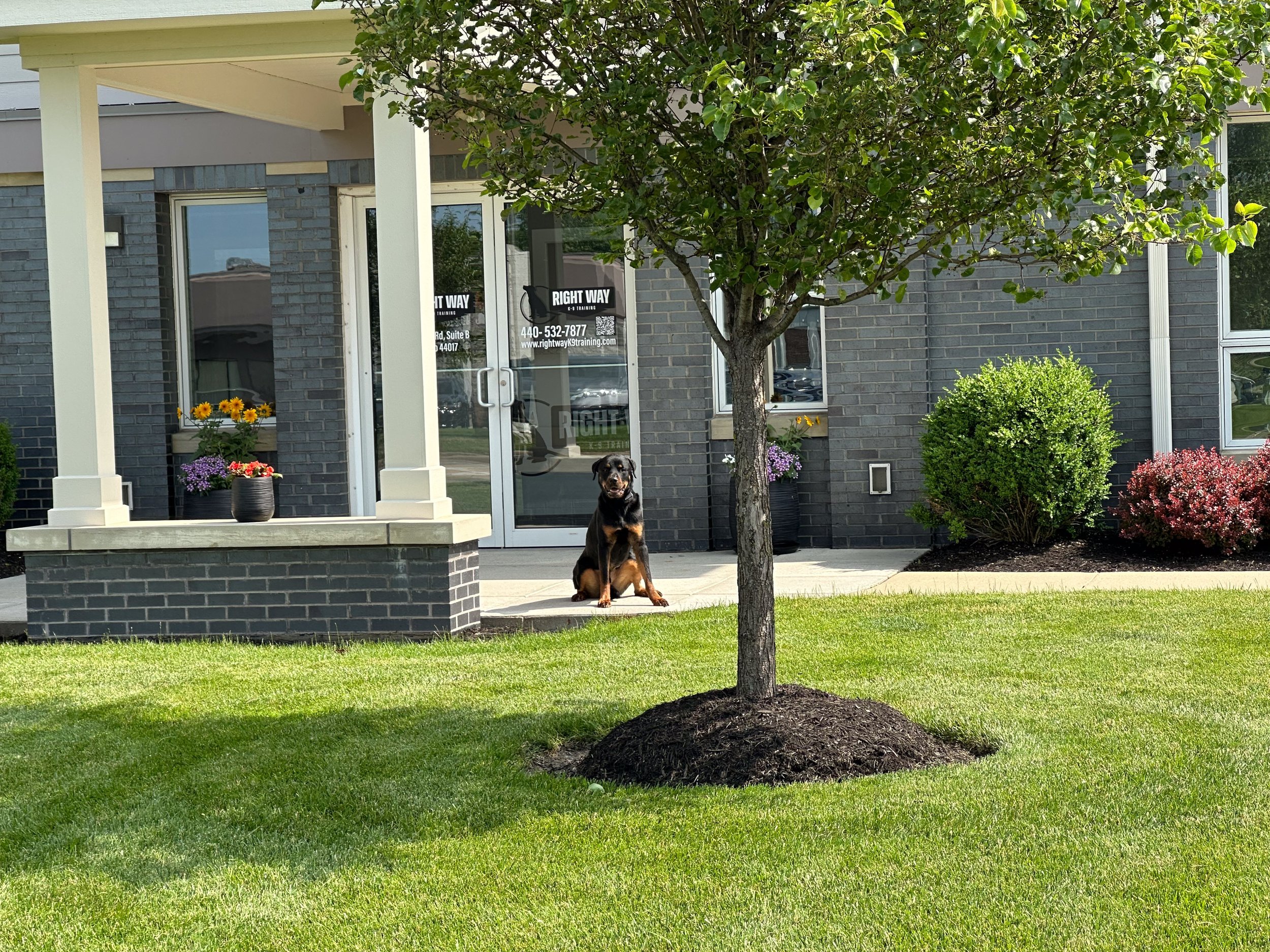 Right Way K9 Training — dog trainer in Cleveland, OH