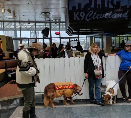 K9 Cleveland