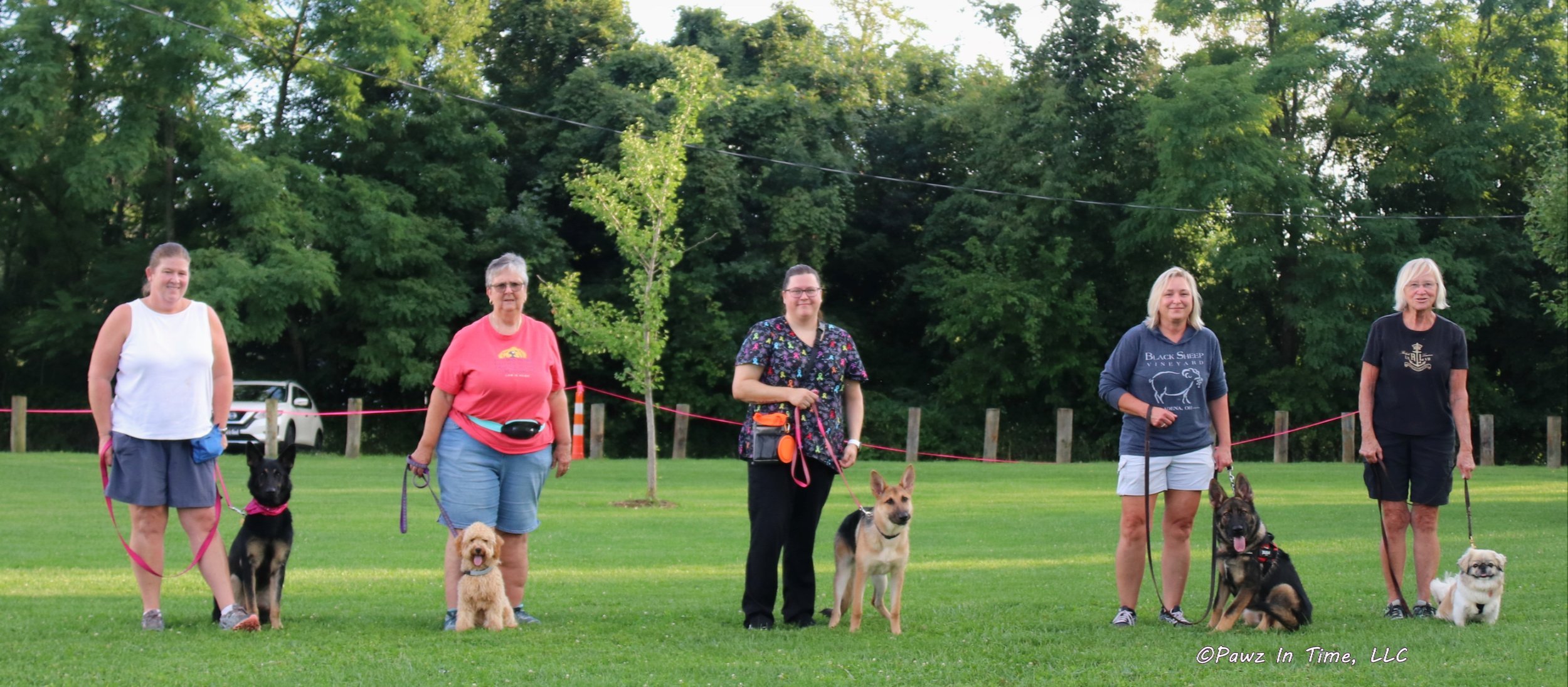 Pawz In Time ~ HeartSoul Dog Training