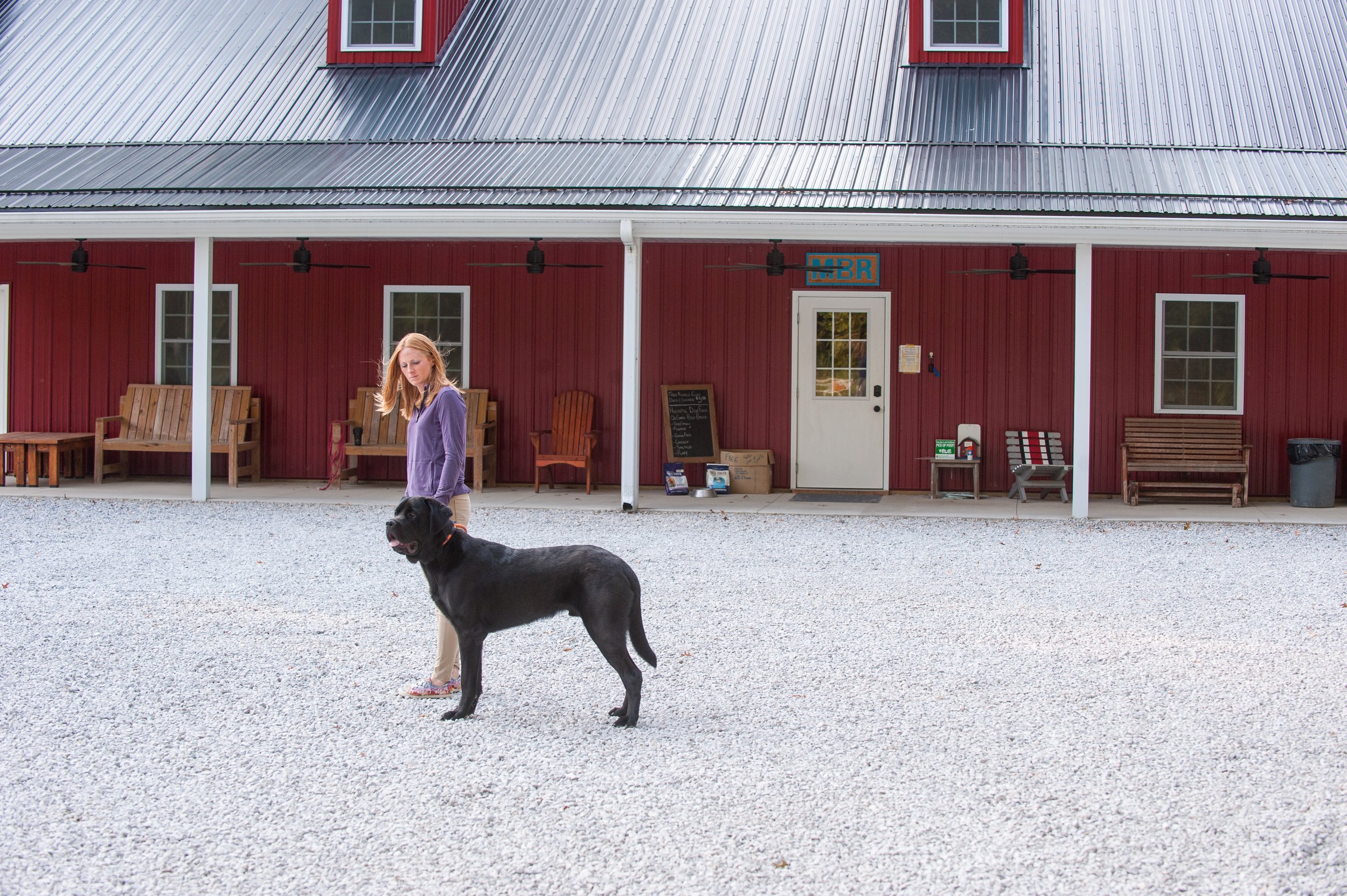 MBR Farm Dog Boarding and Training