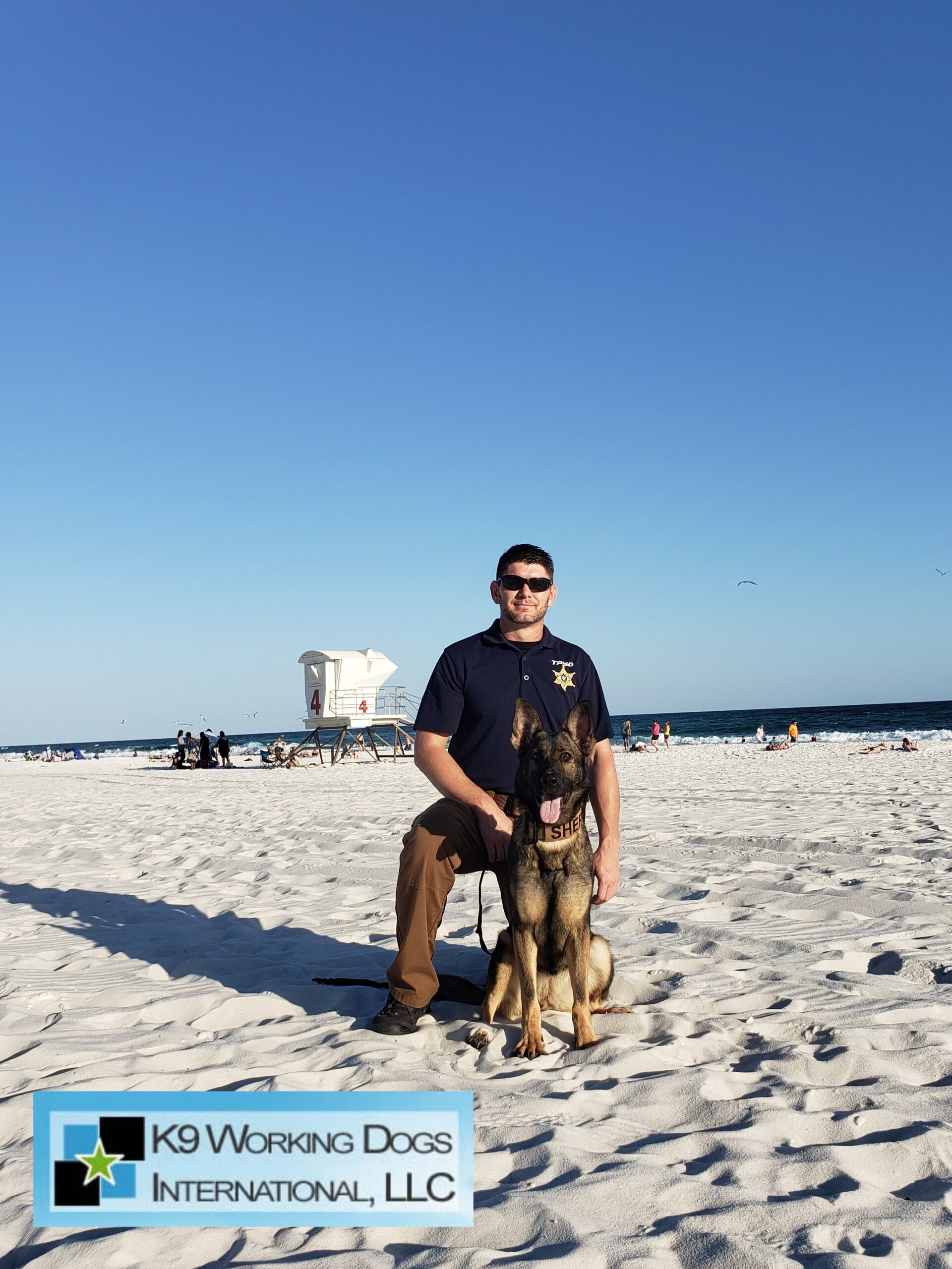 K9 Working Dogs International, LLC