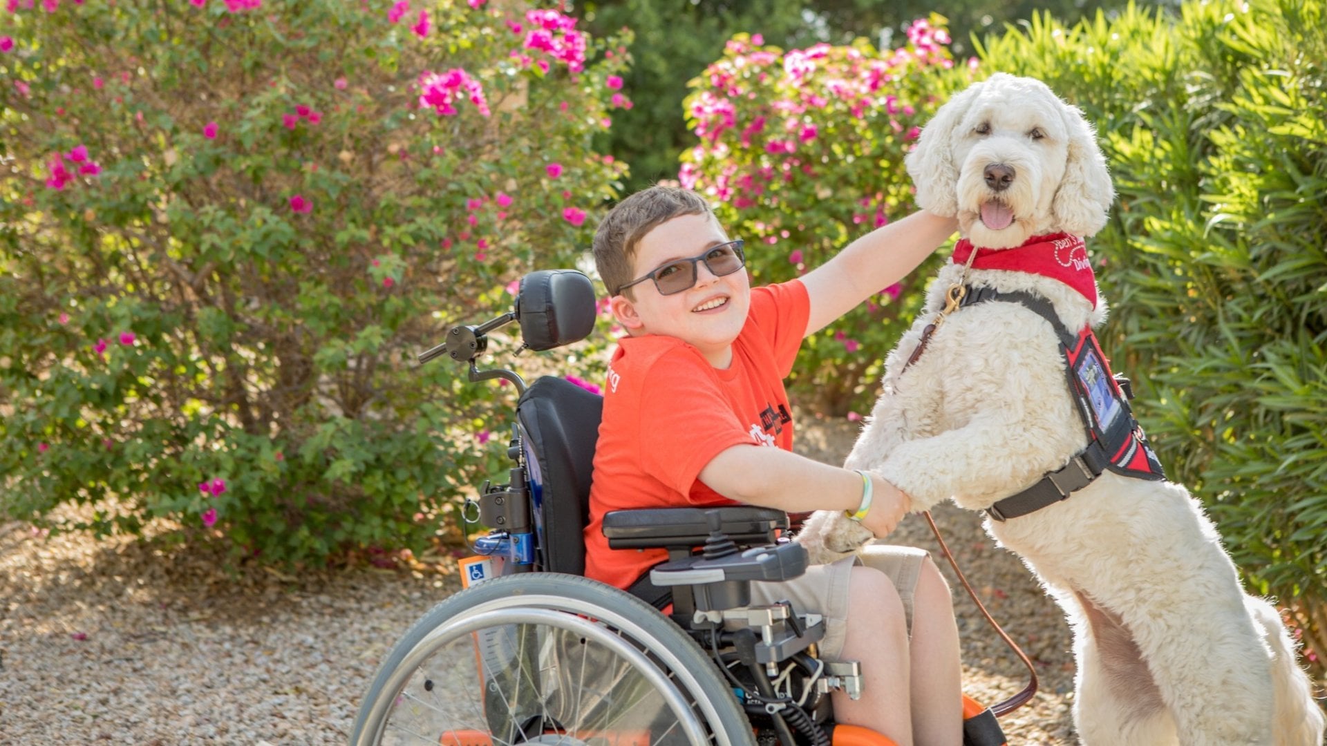 4 Paws For Ability Inc