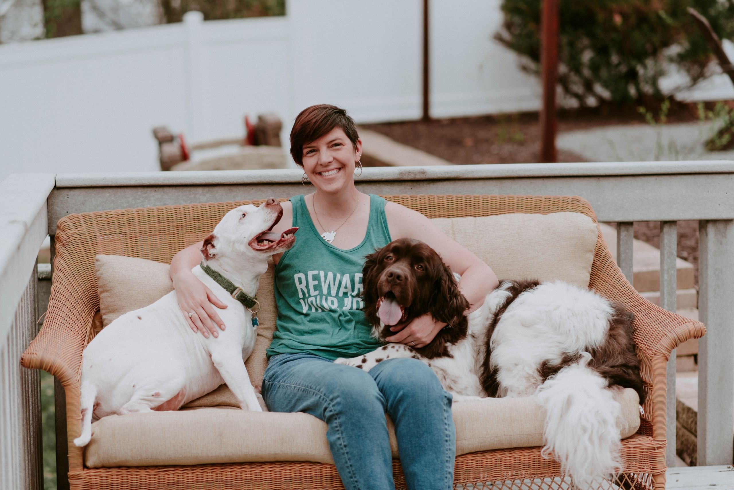 Leroy and Company Dog Training — dog trainer in Scranton, PA